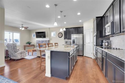 4439 Mcmurdo Court Castle Rock CO 80108