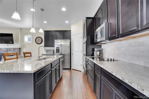 4439 Mcmurdo Court Castle Rock CO 80108