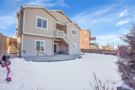4439 Mcmurdo Court Castle Rock CO 80108