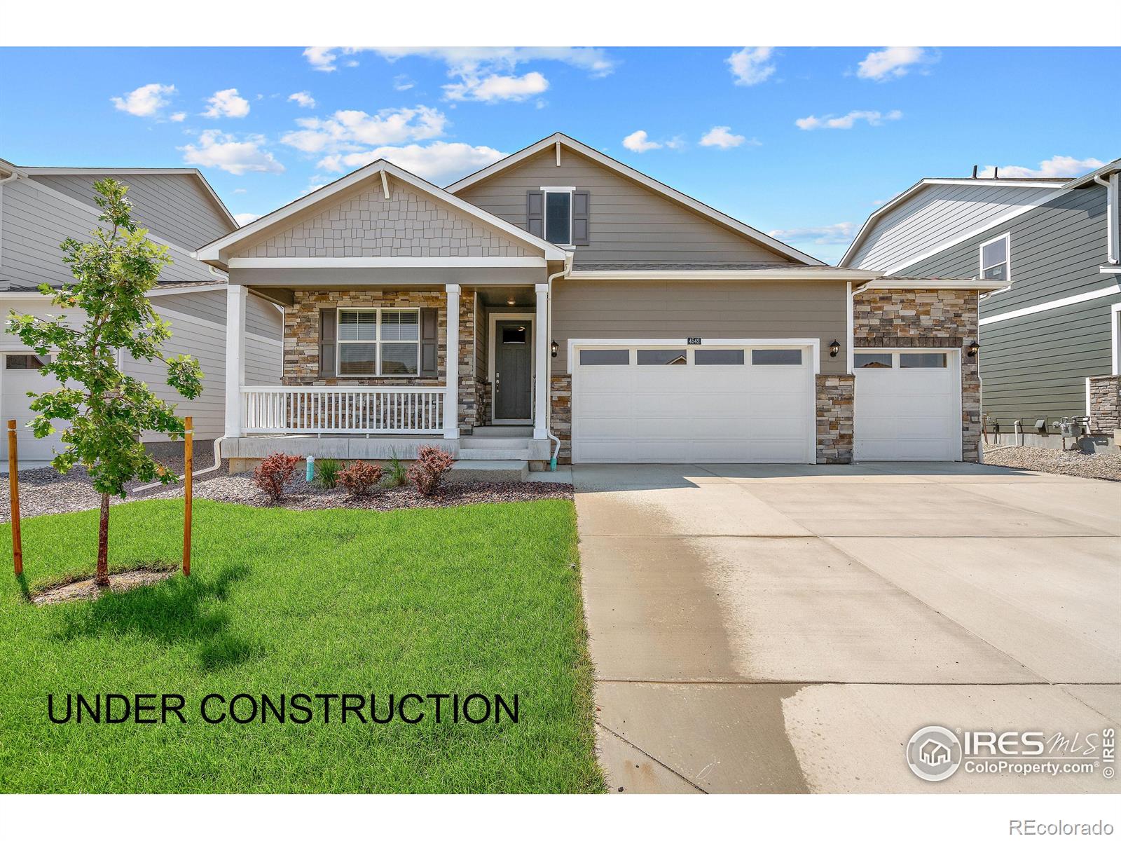 6489 Ankina Drive Windsor CO 80528