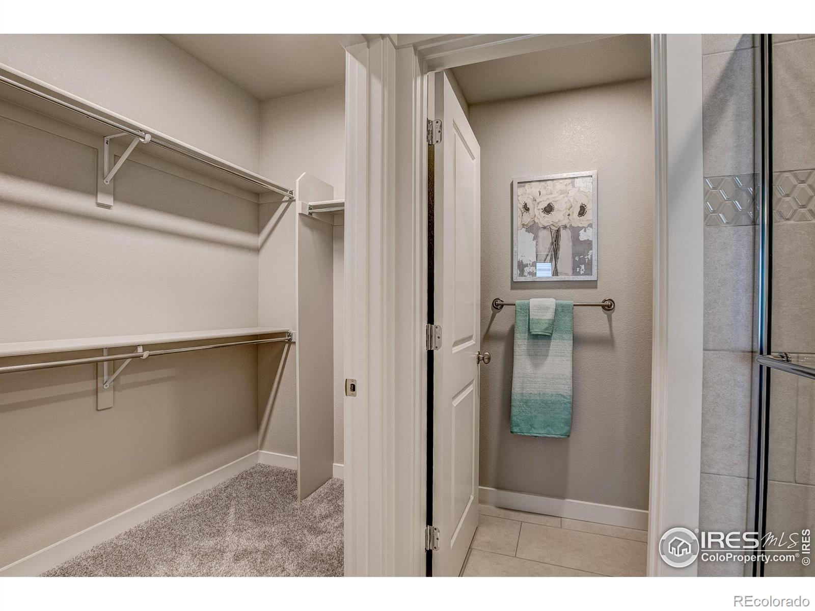 410 High Point Drive Longmont CO 80504
