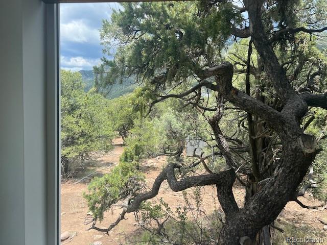 3580 Alfresco Way Crestone CO 81131