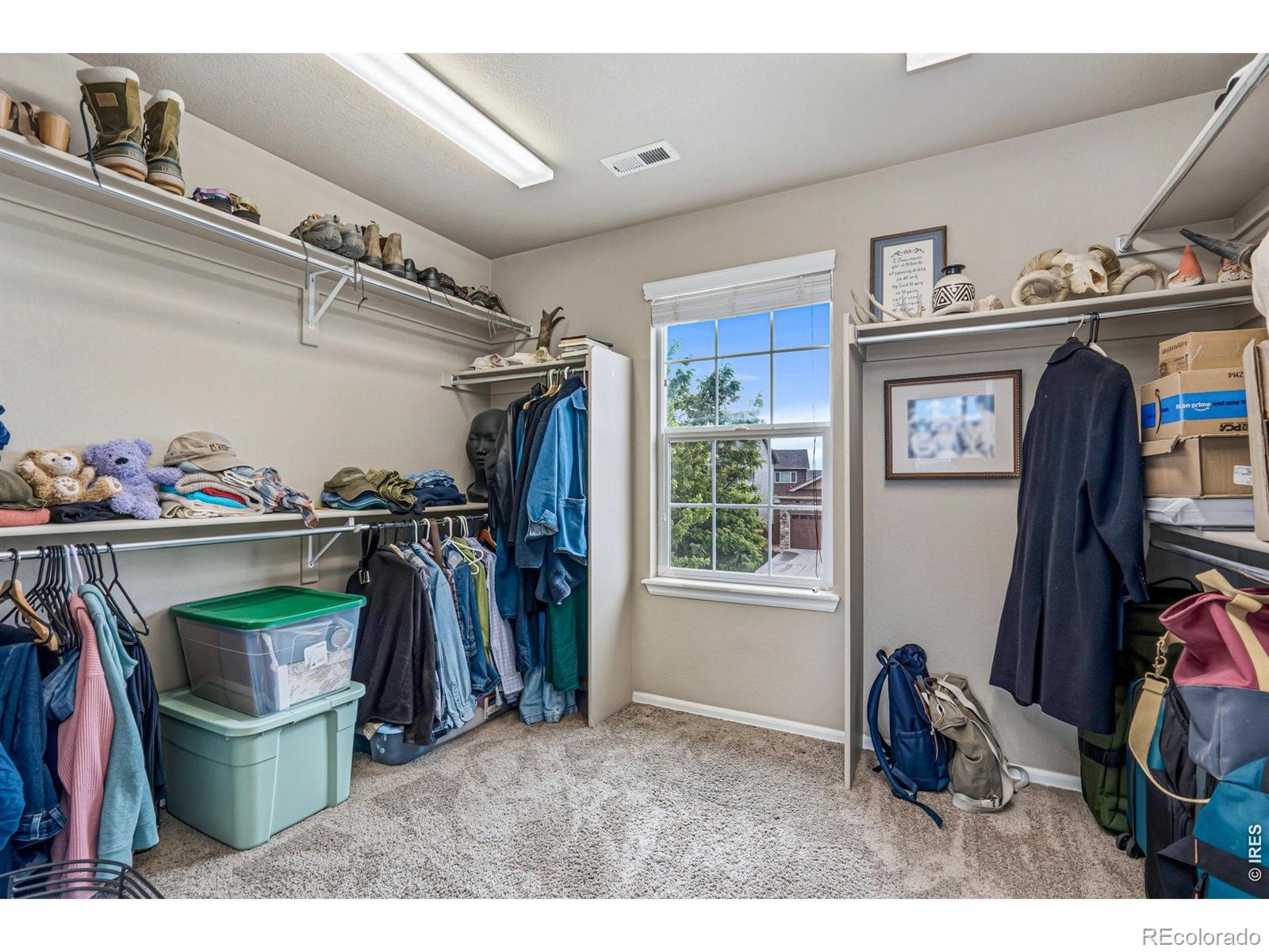 927 Ridge Runner Drive Fort Collins CO 80524