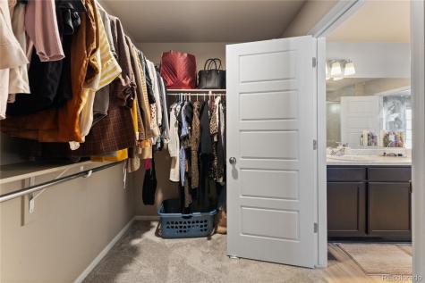 6937 Green Stalk Circle Colorado Springs CO 80927