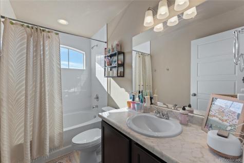 6937 Green Stalk Circle Colorado Springs CO 80927