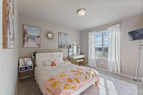 6937 Green Stalk Circle Colorado Springs CO 80927