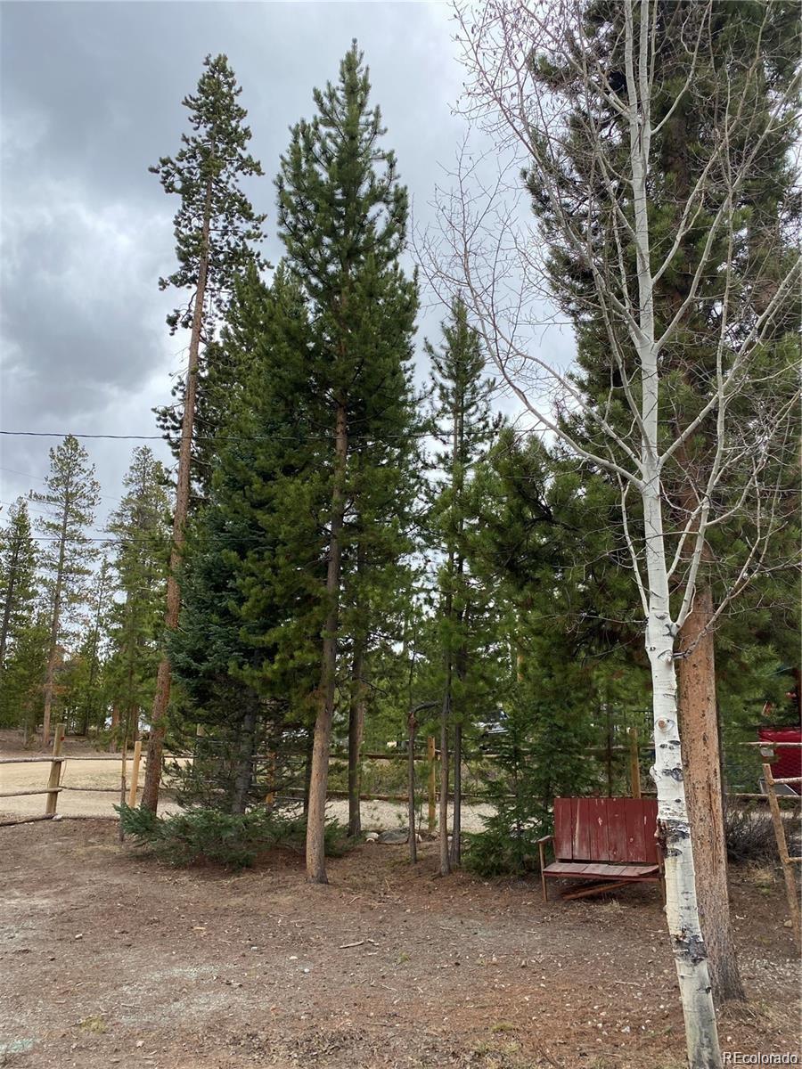 803 Cr-462 Grand Lake CO 80447
