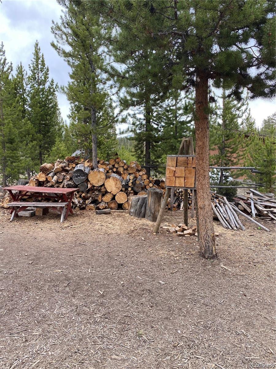 803 Cr-462 Grand Lake CO 80447