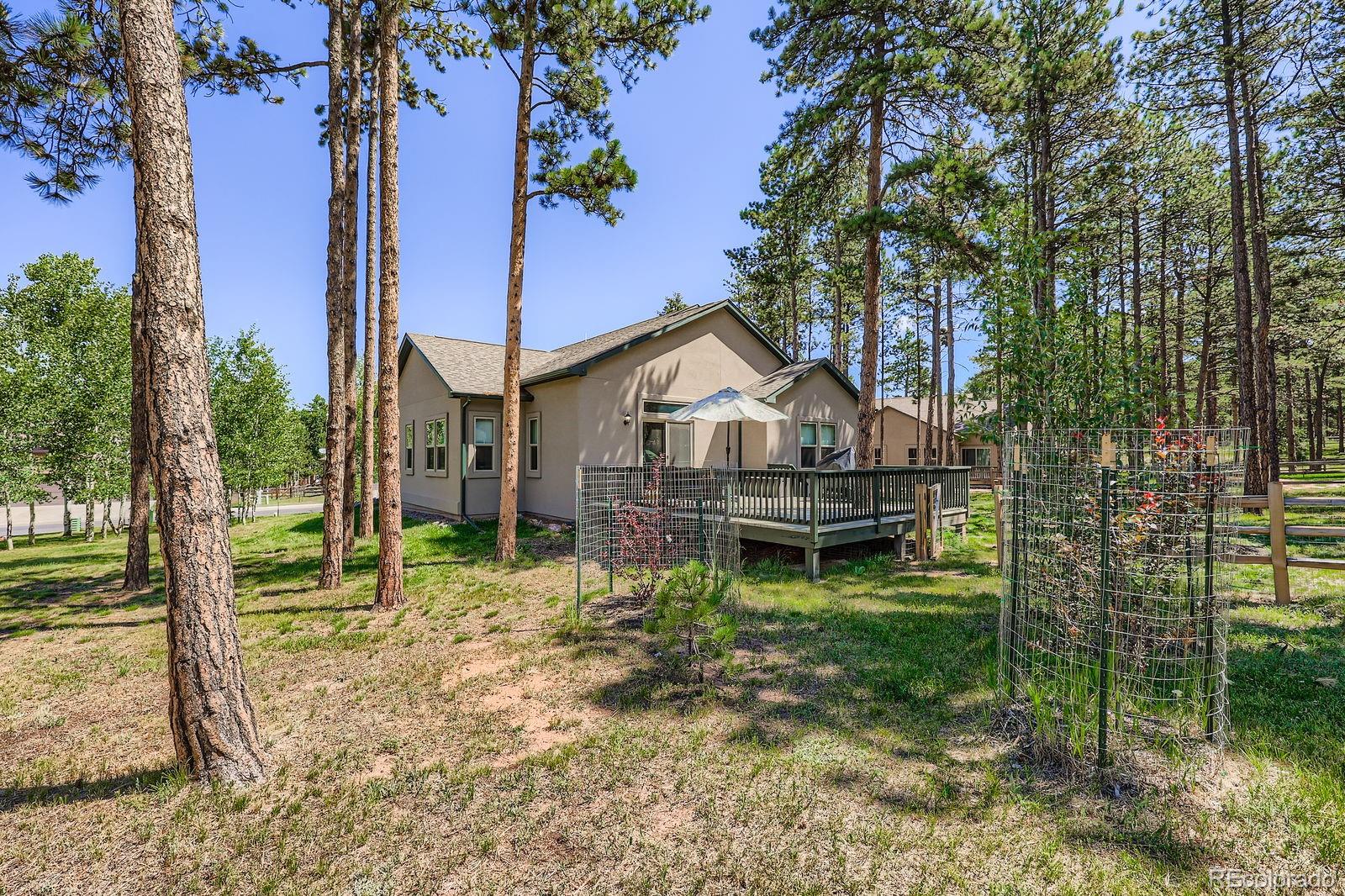 1163 Ptarmigan Drive Woodland Park CO 80863