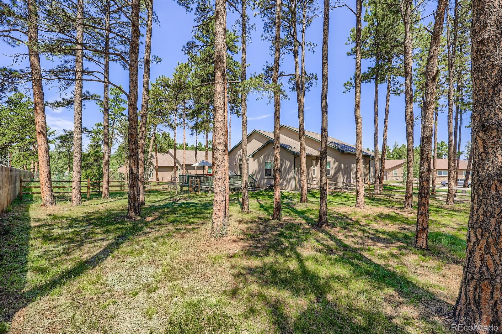1163 Ptarmigan Drive Woodland Park CO 80863