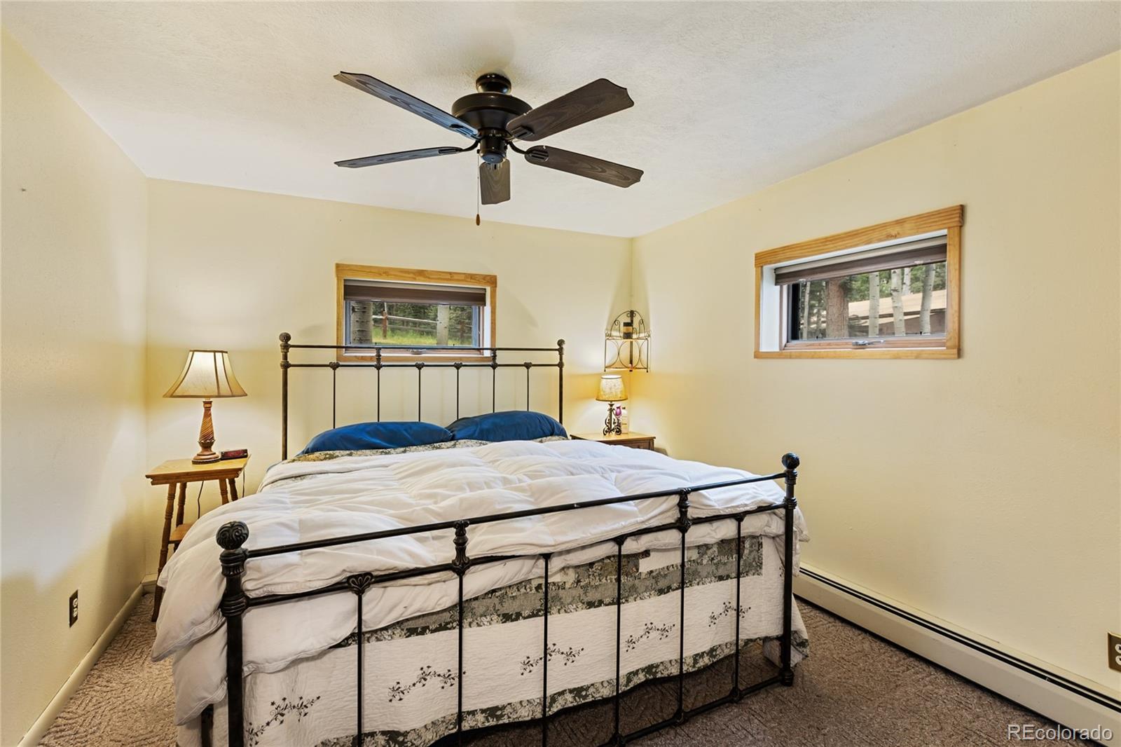 56 Blue Jay Lane Divide CO 80814