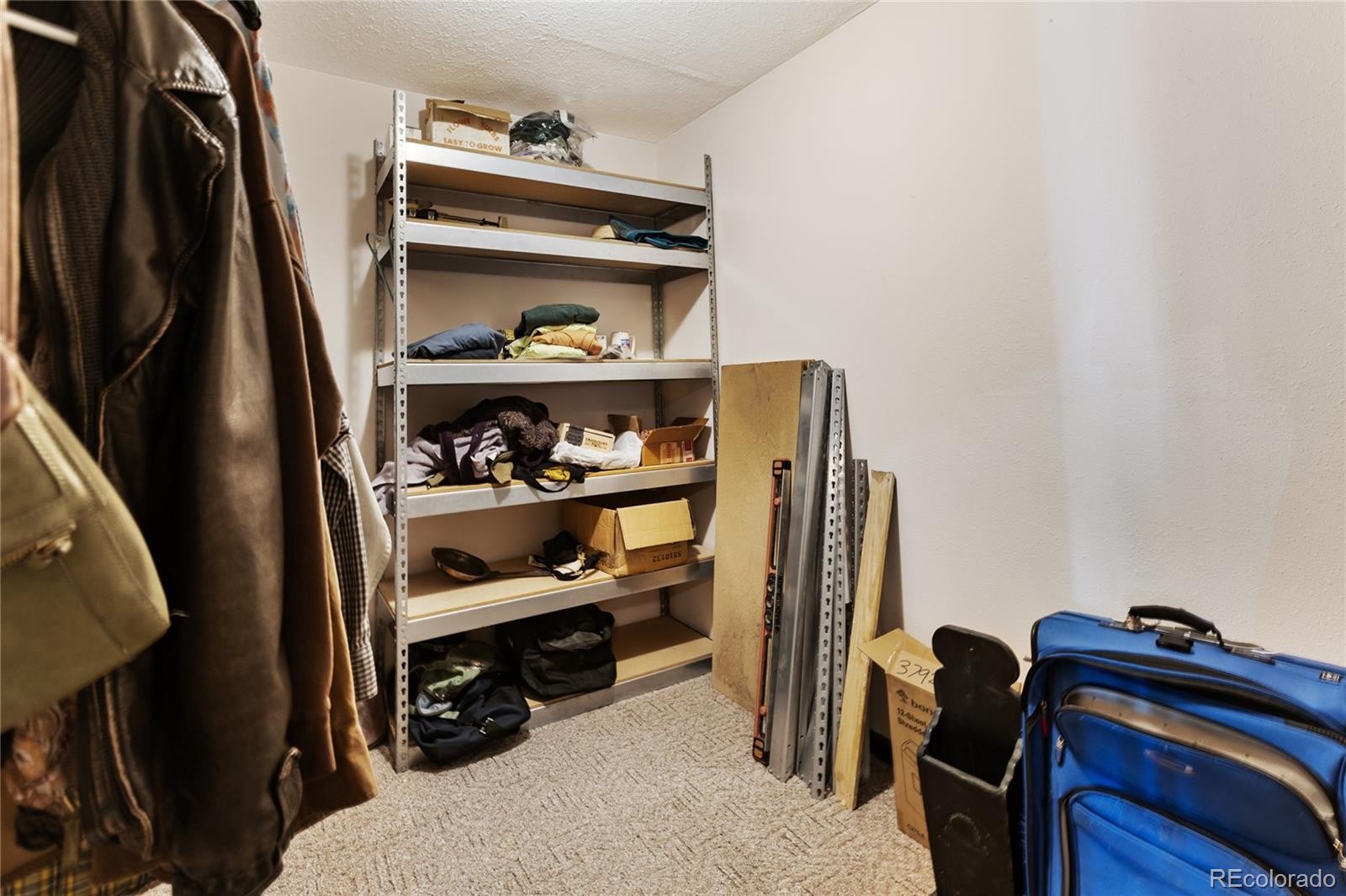 56 Blue Jay Lane Divide CO 80814