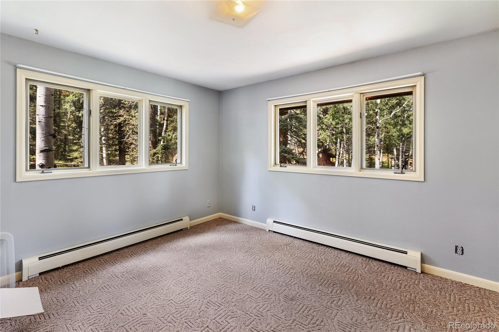56 Blue Jay Lane Divide CO 80814