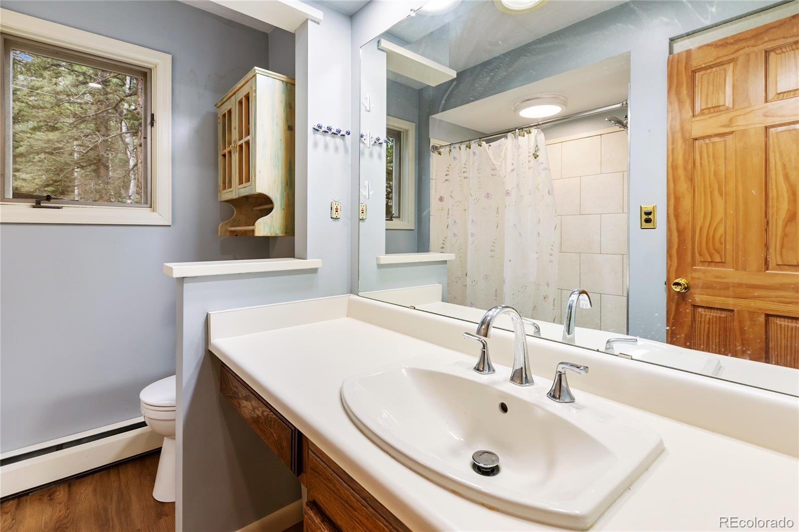 56 Blue Jay Lane Divide CO 80814