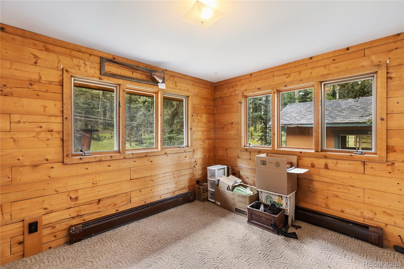 56 Blue Jay Lane Divide CO 80814