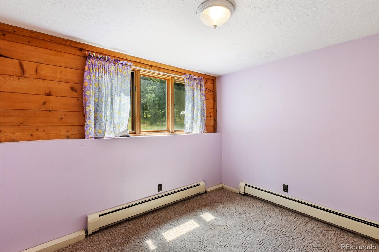 56 Blue Jay Lane Divide CO 80814