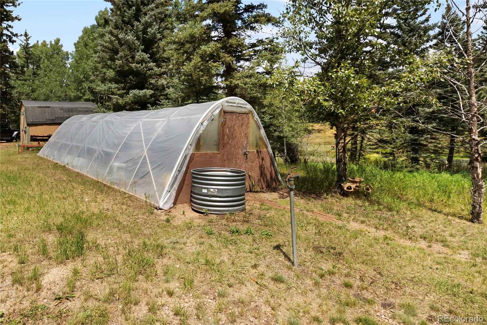 56 Blue Jay Lane Divide CO 80814