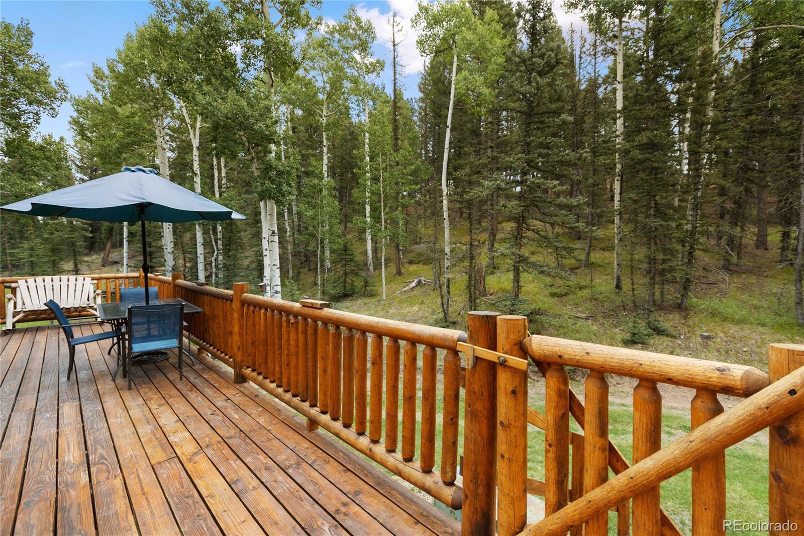 56 Blue Jay Lane Divide CO 80814