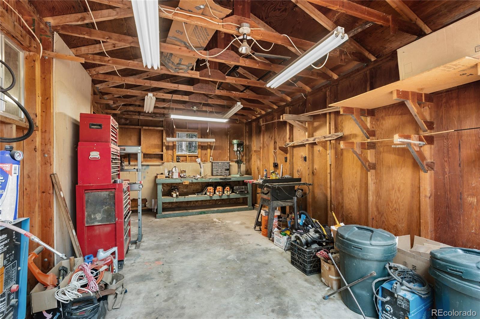 56 Blue Jay Lane Divide CO 80814