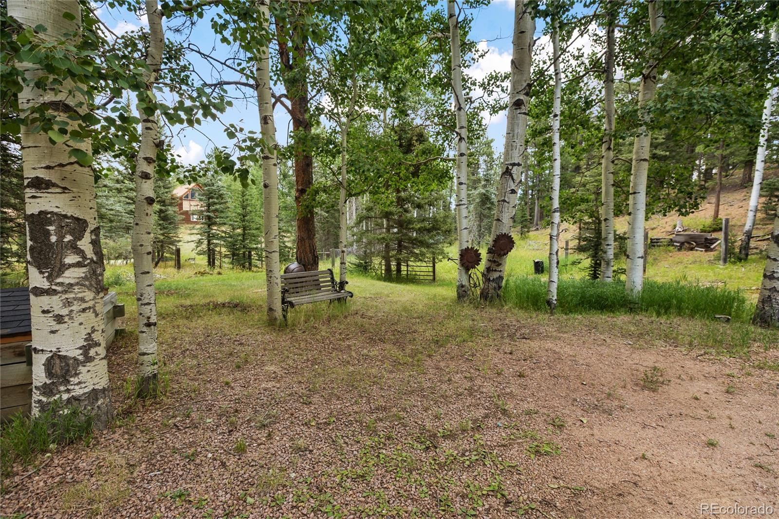 56 Blue Jay Lane Divide CO 80814