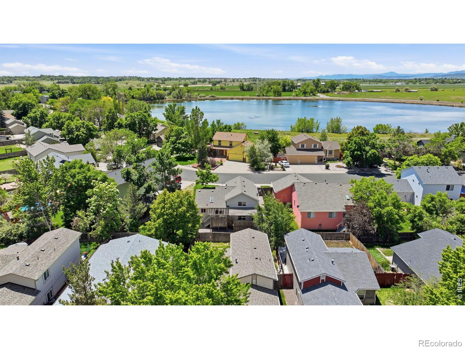 1479 Cattail Drive Loveland CO 80537
