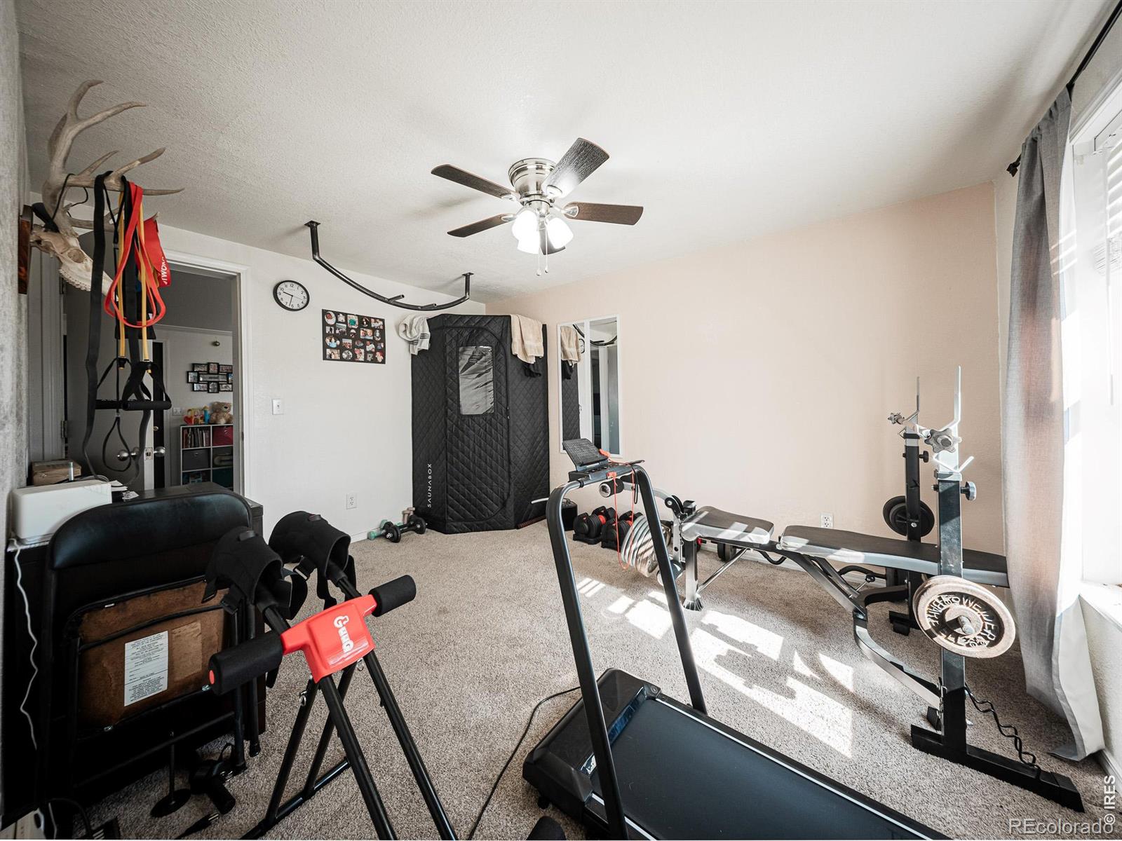 236 Priddy Street Pierce CO 80650