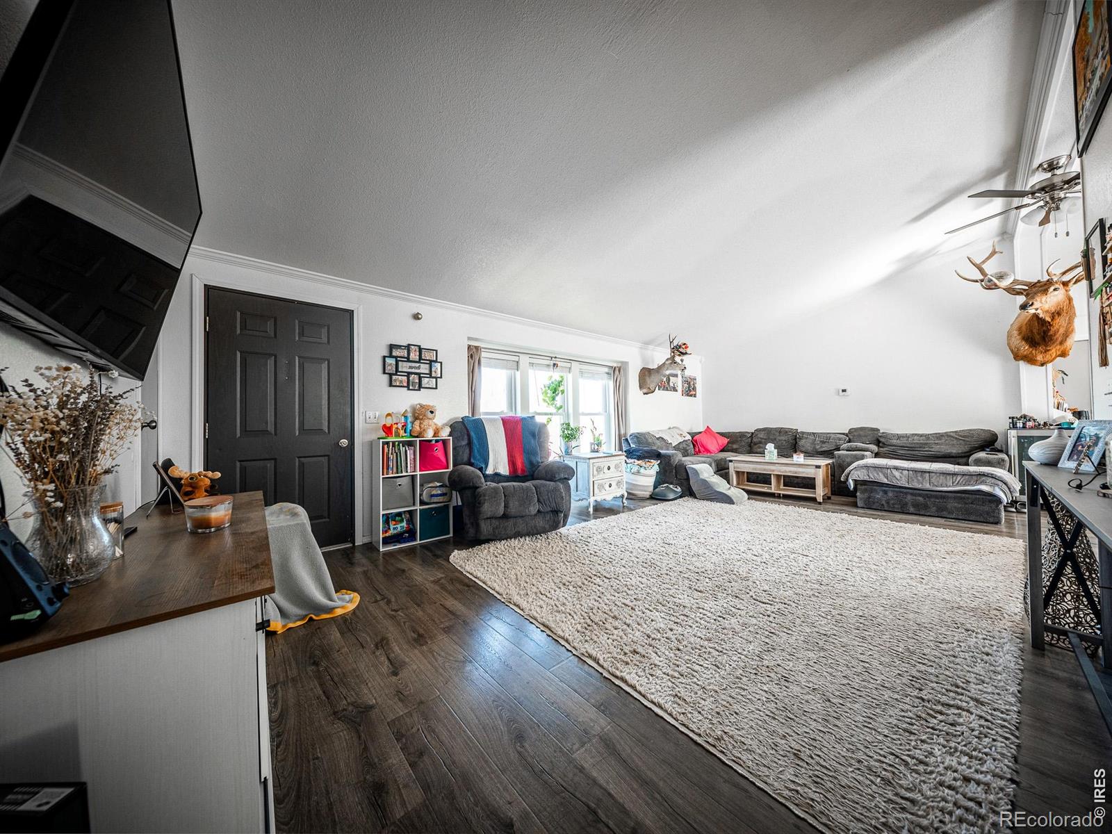 236 Priddy Street Pierce CO 80650