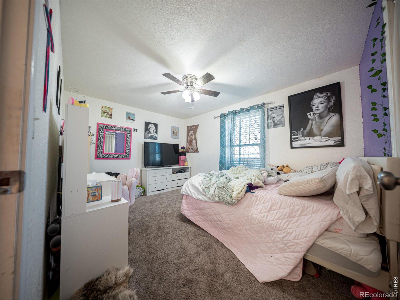 236 Priddy Street Pierce CO 80650