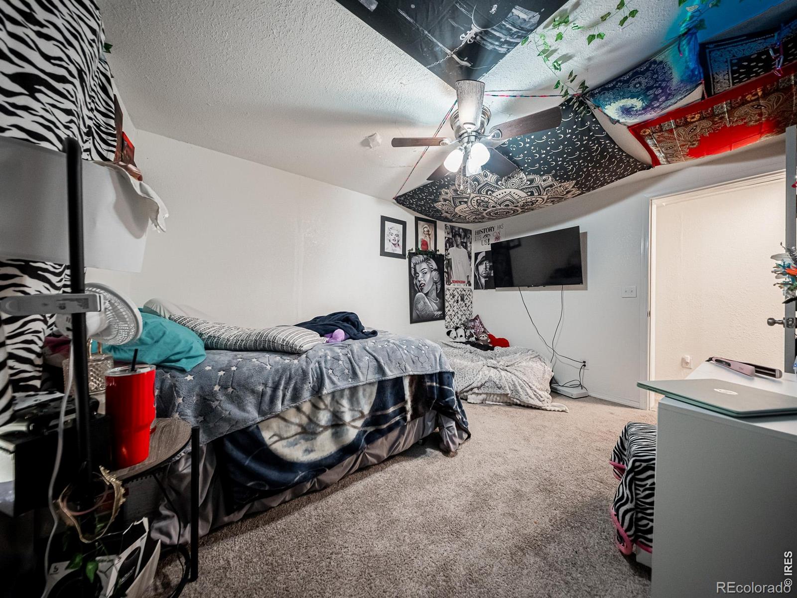 236 Priddy Street Pierce CO 80650