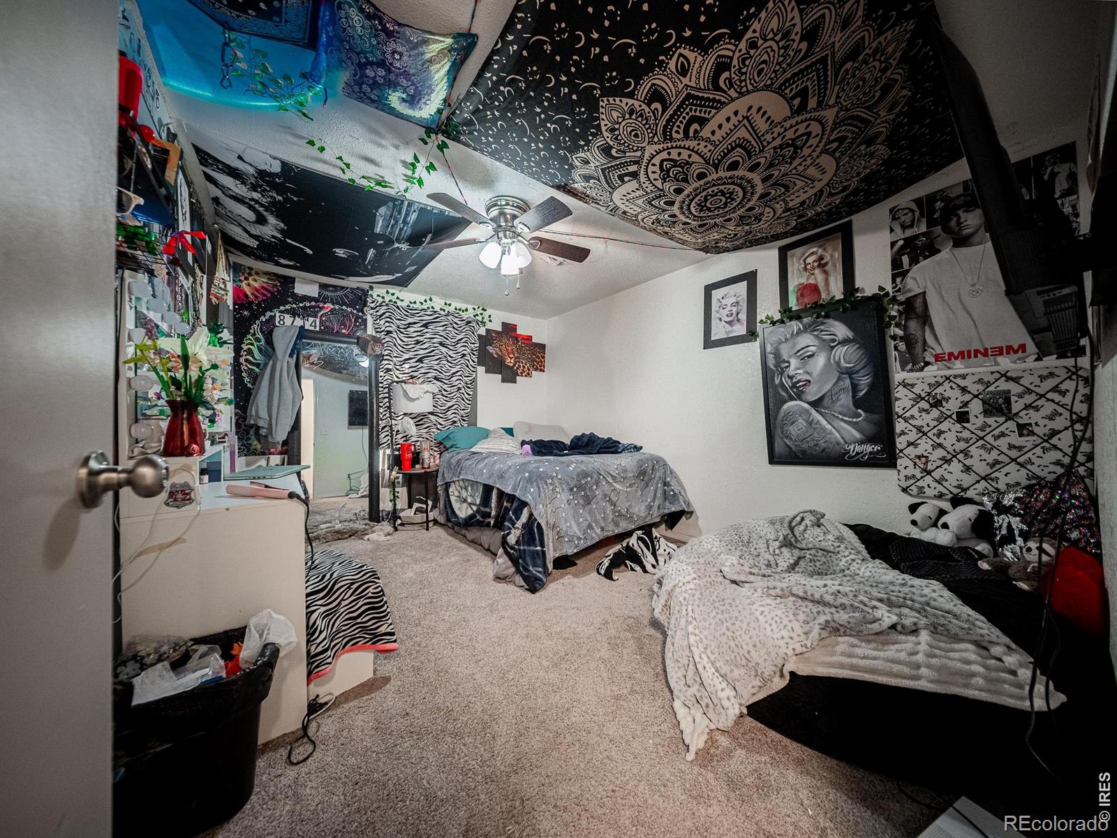 236 Priddy Street Pierce CO 80650