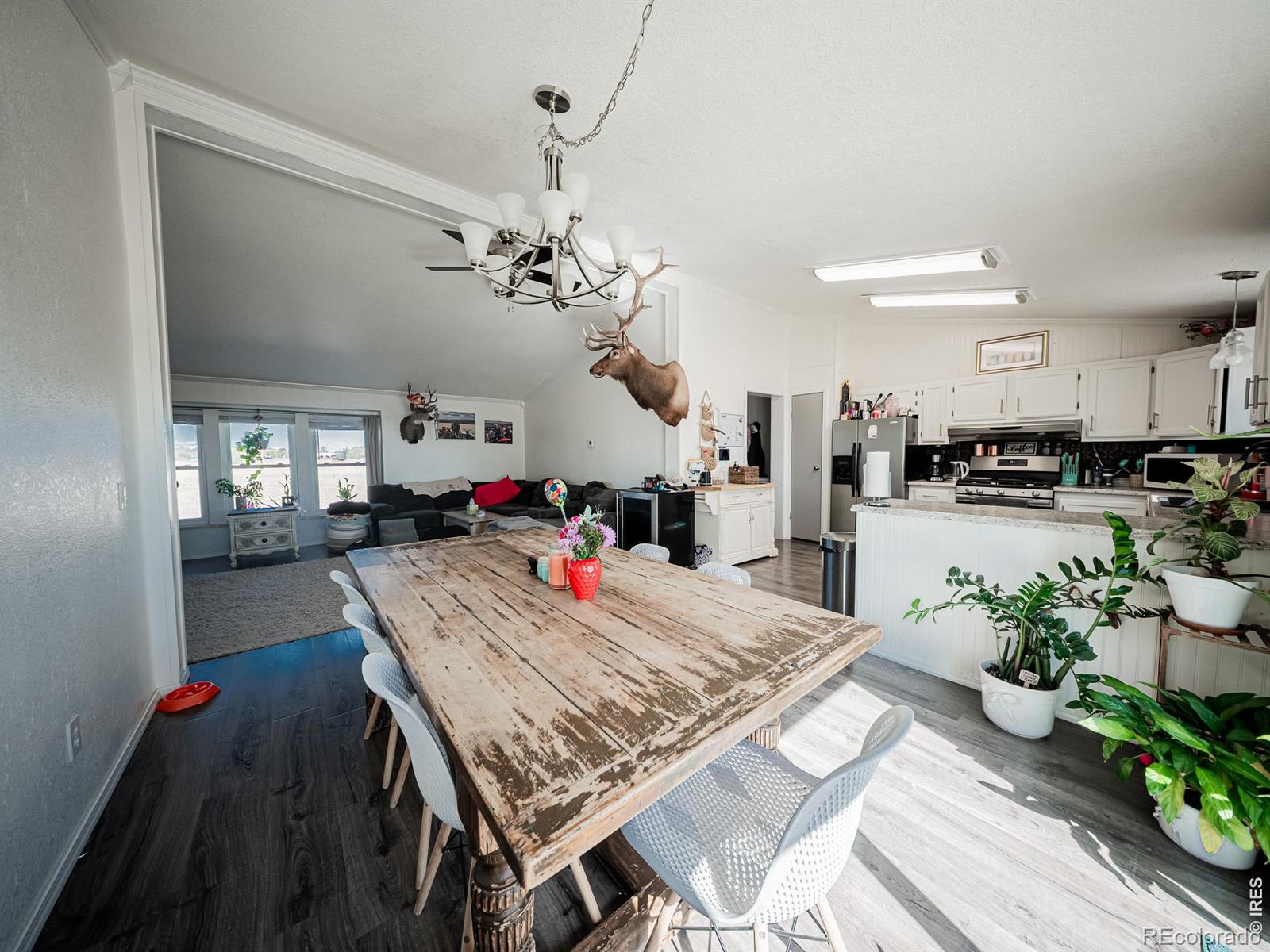 236 Priddy Street Pierce CO 80650