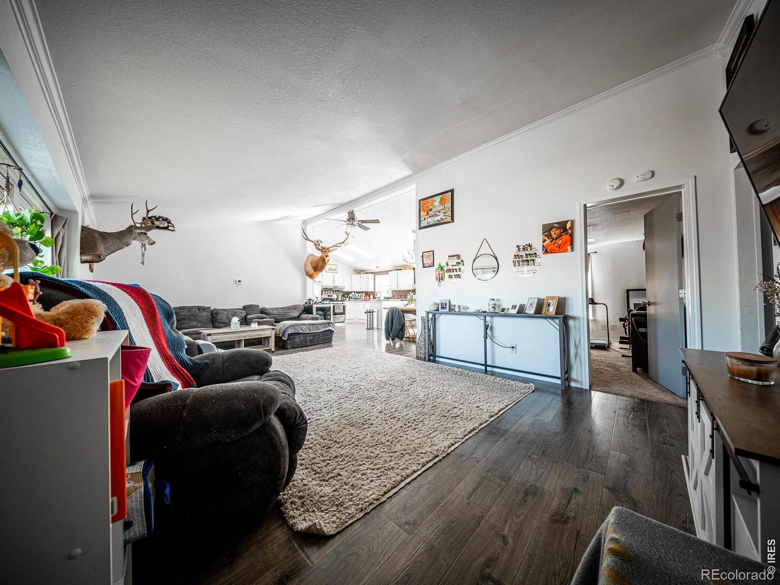 236 Priddy Street Pierce CO 80650