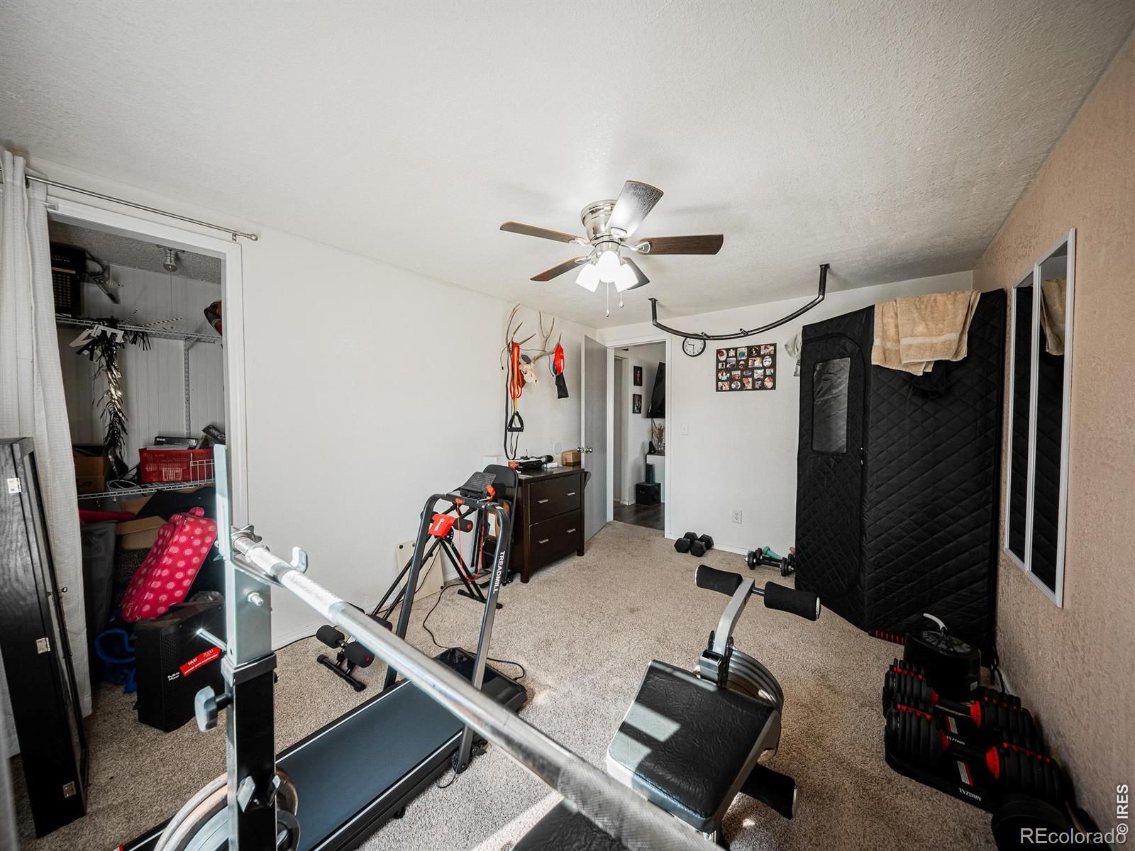 236 Priddy Street Pierce CO 80650