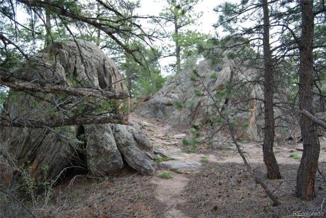 13927 Dancing Bear Trail Littleton CO 80127