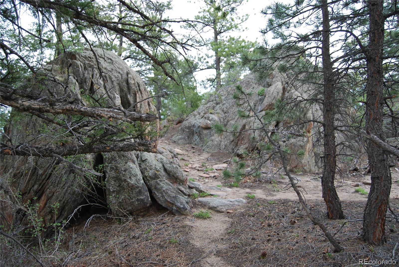 13927 Dancing Bear Trail Littleton CO 80127