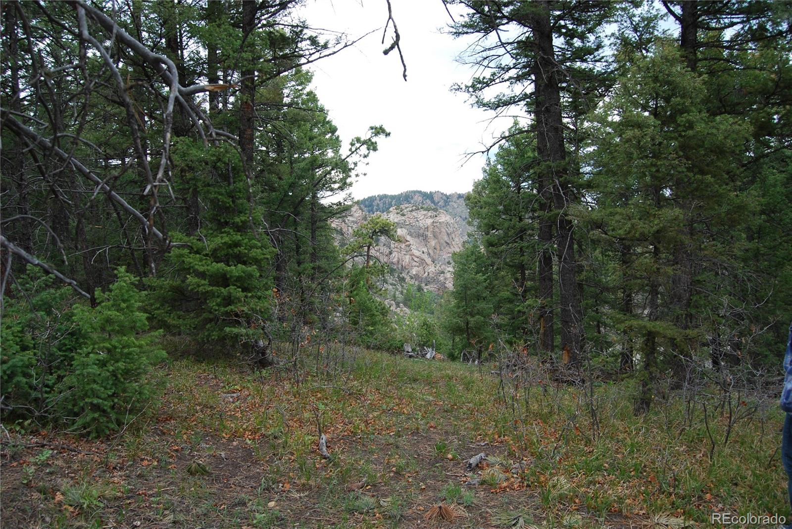 13927 Dancing Bear Trail Littleton CO 80127