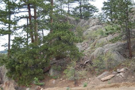 13927 Dancing Bear Trail Littleton CO 80127