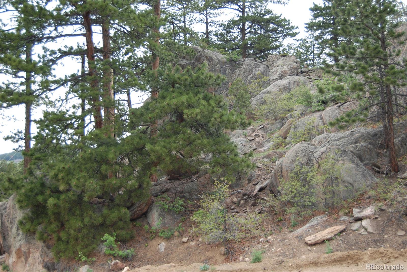 13927 Dancing Bear Trail Littleton CO 80127