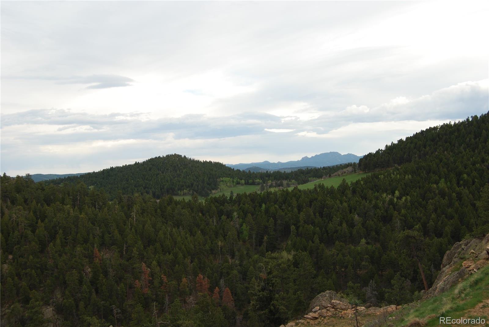 13927 Dancing Bear Trail Littleton CO 80127