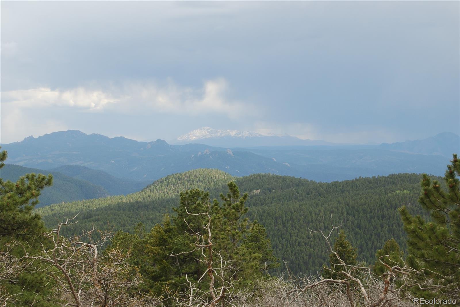 13927 Dancing Bear Trail Littleton CO 80127