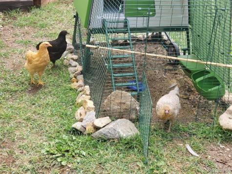 1418 Rose Street Georgetown CO 80444