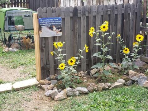 1418 Rose Street Georgetown CO 80444