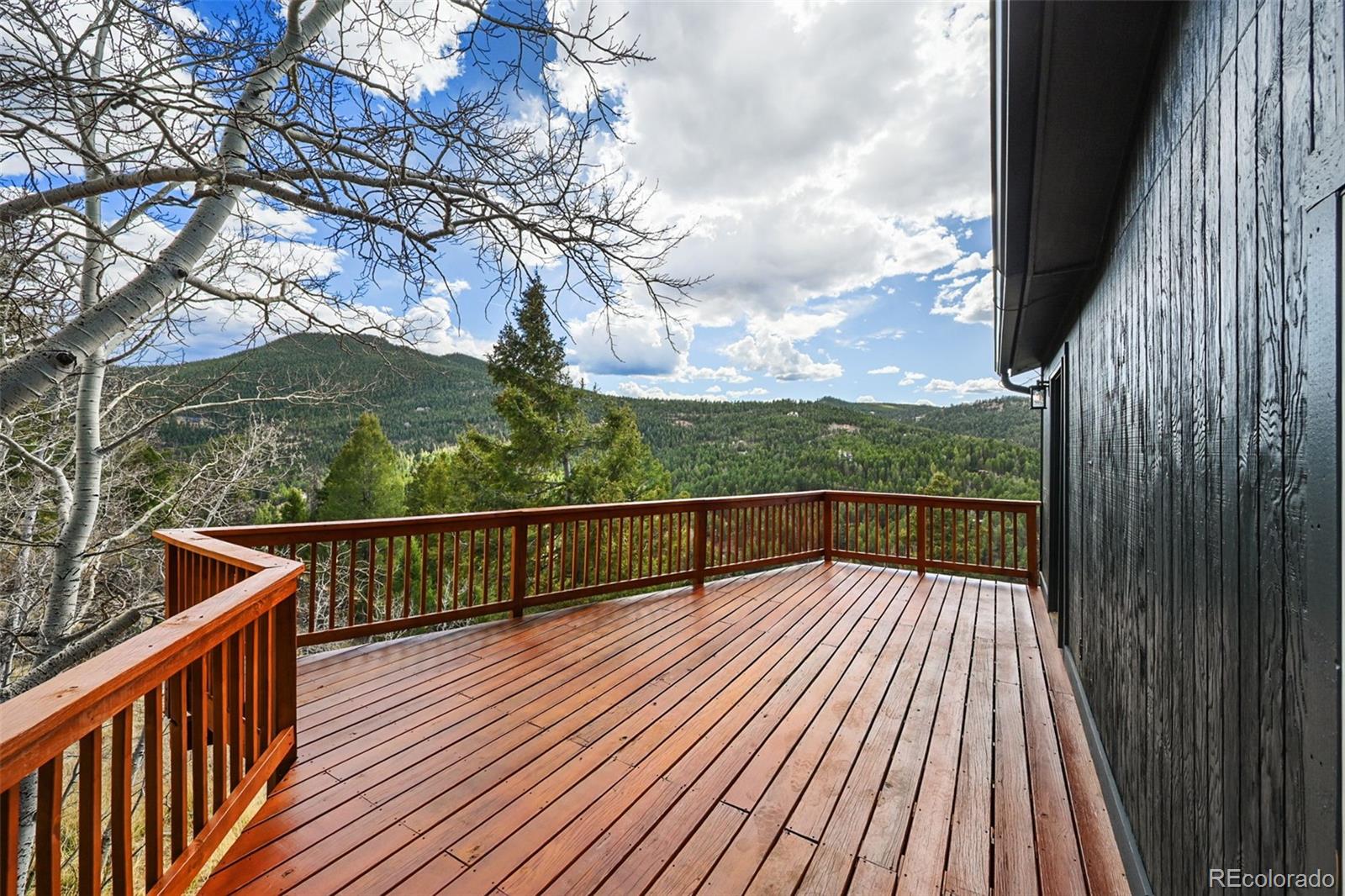 11725 Tomahawk Trail Conifer CO 80433