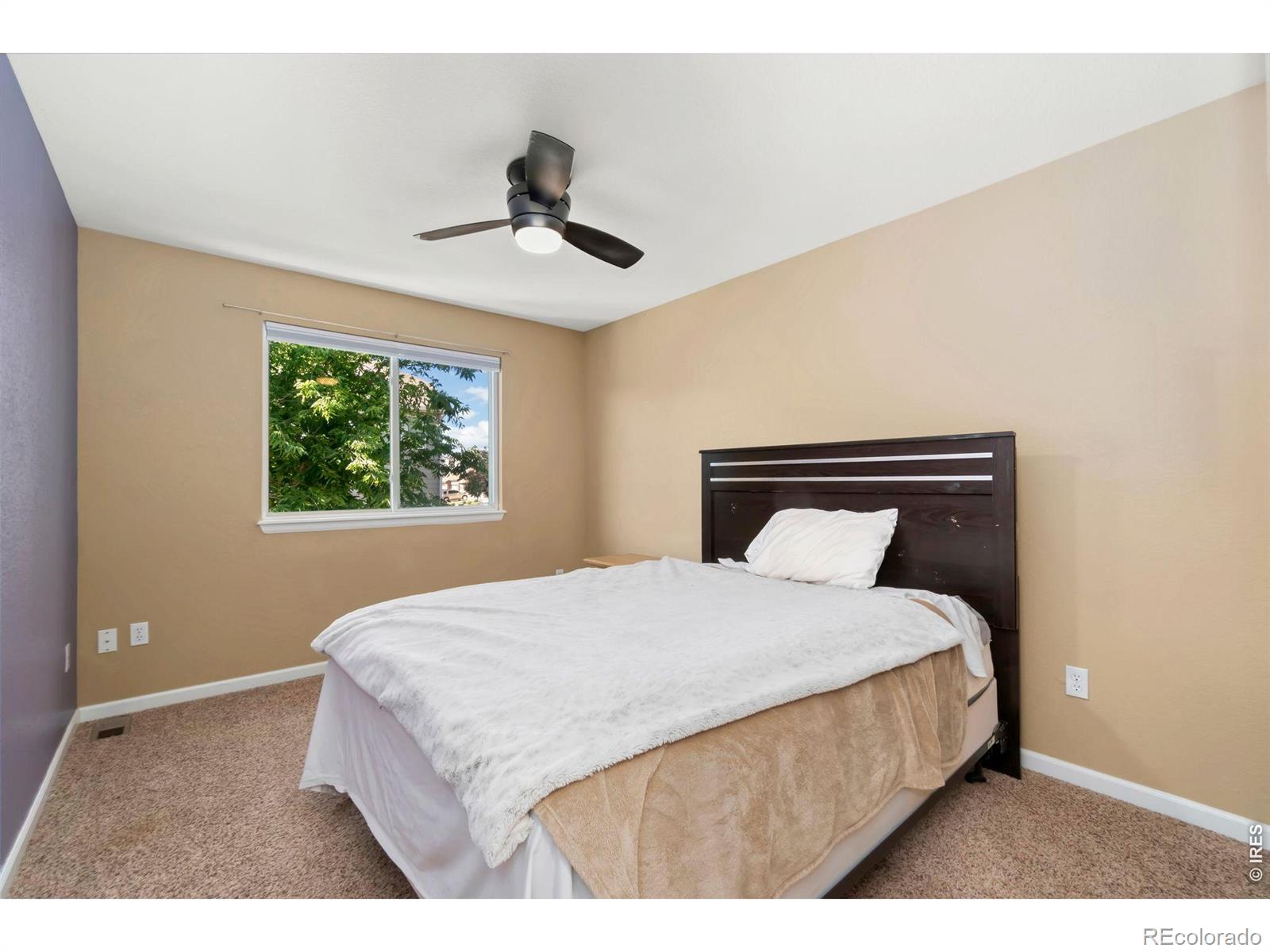3774 Brunner Boulevard Johnstown CO 80534