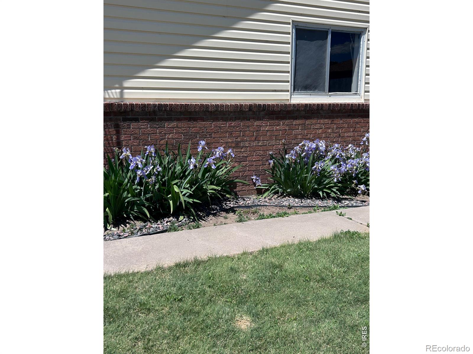 9718 County Road 3 Wiggins CO 80654