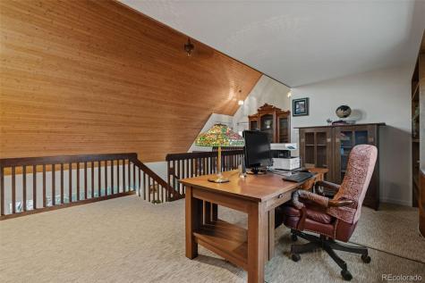 830 Jesse Lane Bailey CO 80421