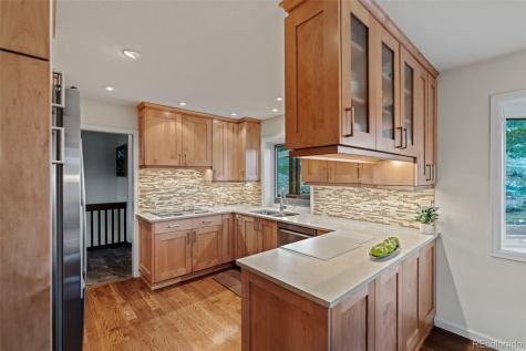 830 Jesse Lane Bailey CO 80421