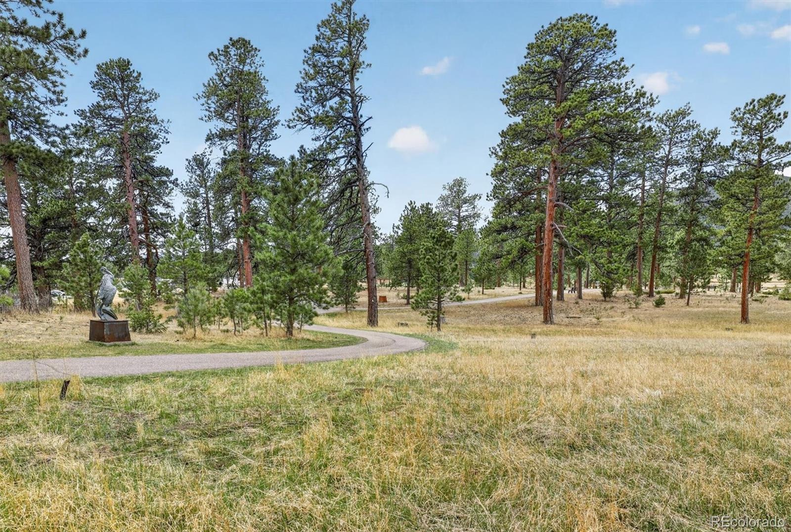 29210 Northstar Lane Evergreen CO 80439