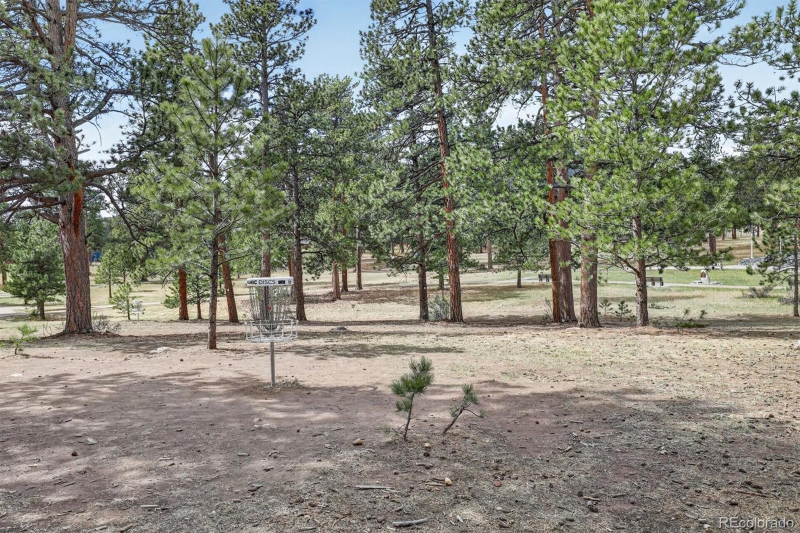 29210 Northstar Lane Evergreen CO 80439