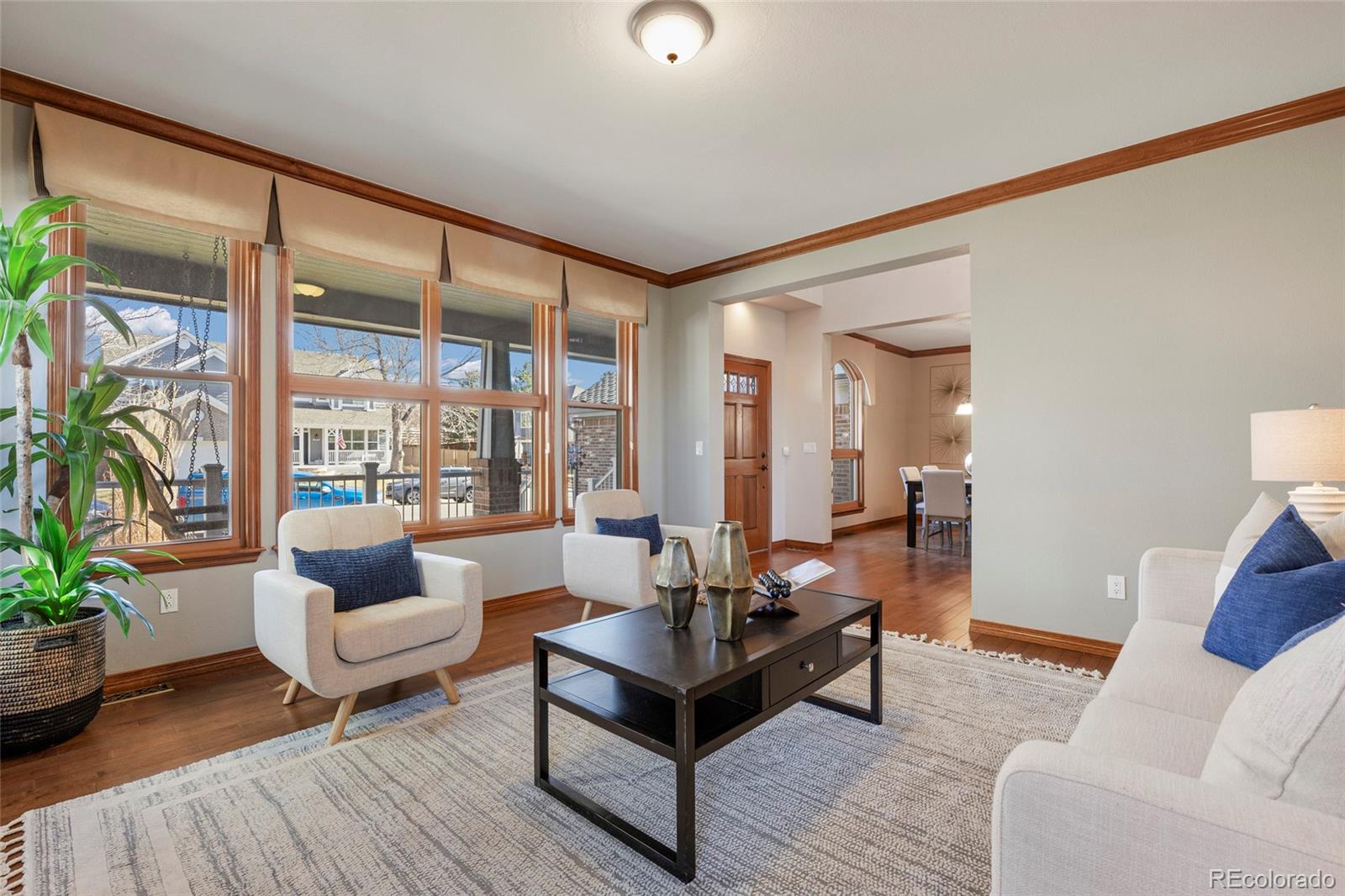 9233 Princeton Street Highlands Ranch CO 80130